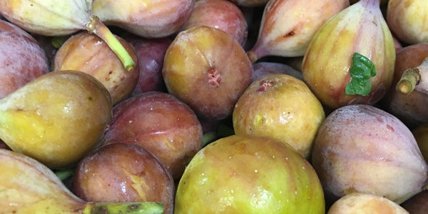 FRUITS